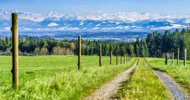 Titelbild GB 2023 Standortförderung Zürioberland