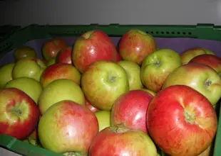 ladenbilder karin 036.jpg