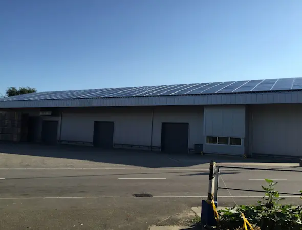 Annahme, Lagerung und Vermarktung von Kartoffeln