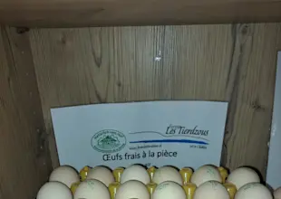 Oeufs les Tierdzous
