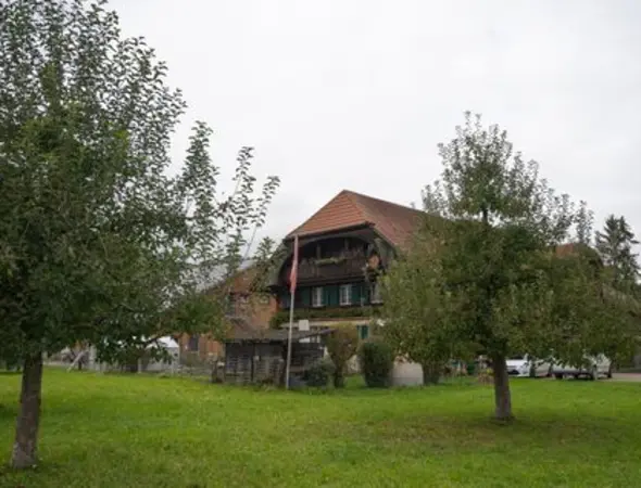 teaserbild hof haldemann