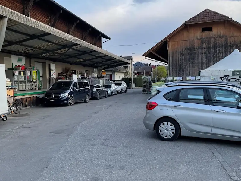 Frühlingsfest 2022 08