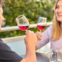 Hero, Services, Festlieferservice, Mann und Frau stossen mit Wein an