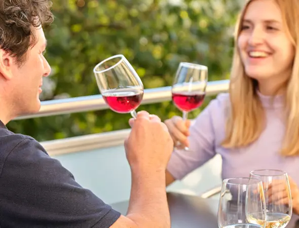 Hero, Services, Festlieferservice, Mann und Frau stossen mit Wein an