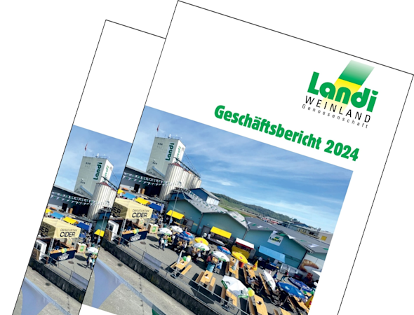 Geschäftsbericht 2024 online