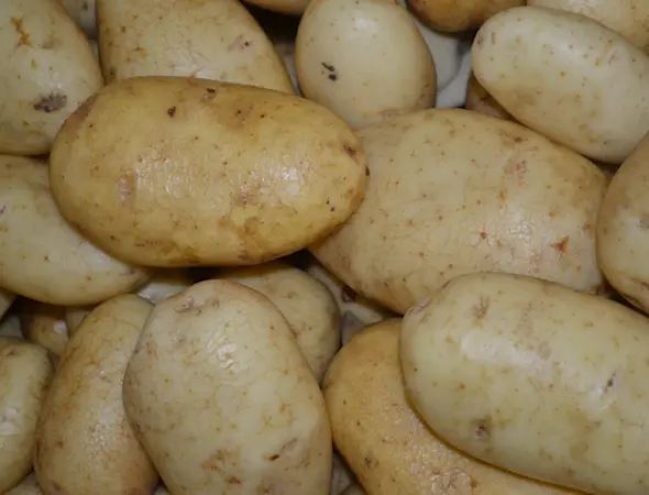 Unsere Dienstleistung