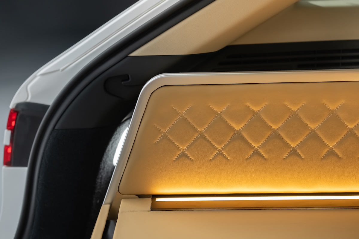 Genesis dog concept 6