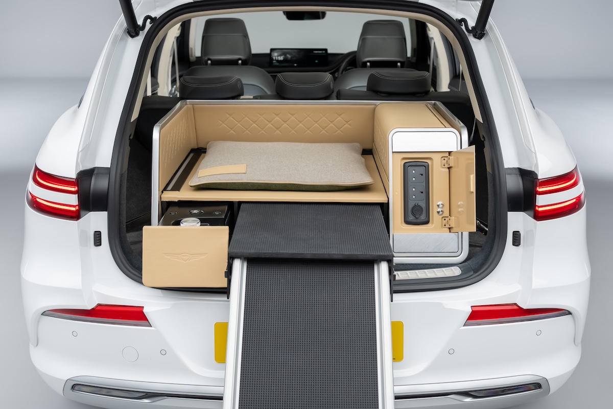 Genesis dog concept 2