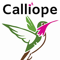 Calliope: East Bay Music & Arts