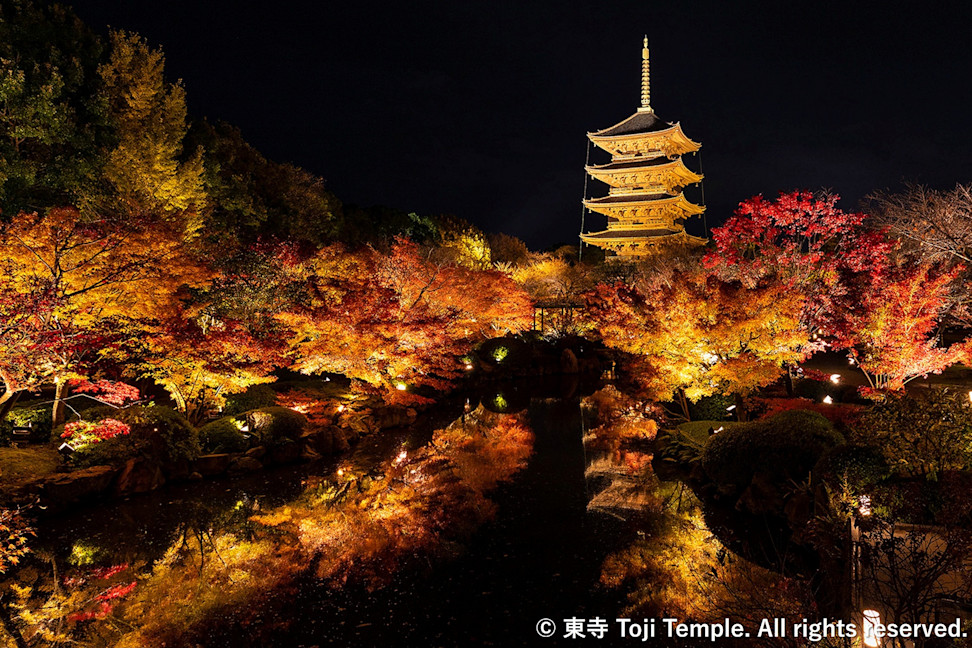 Autumn Night Private Tour: UNESCO World Heritage Toji Temple