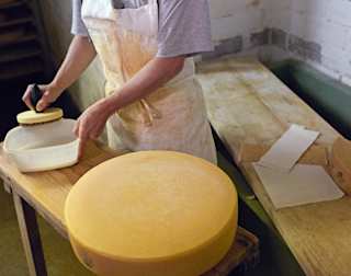 Käse wird gebürstet
