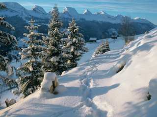 Landschaft in Toggenburg