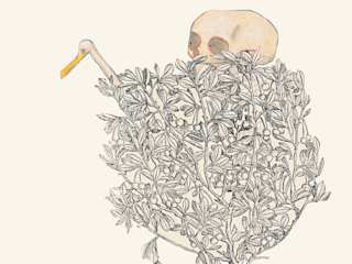 Illustration: Wolf Erlbruch aus dem Buch «Ente, Tod und Tulpe»