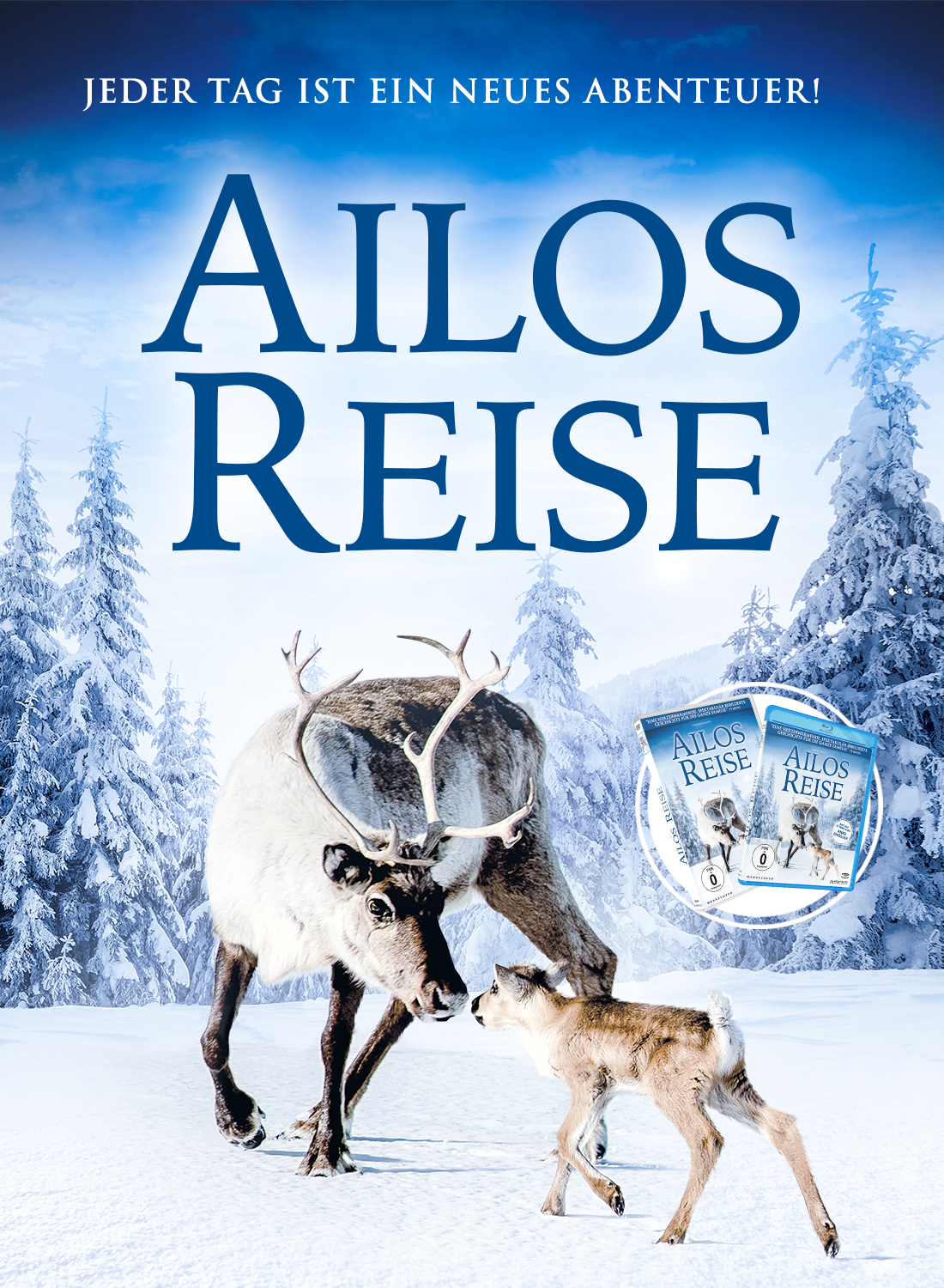 Ailos reise headerbild 1100x1500