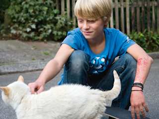 Junge streichelt eine Katze