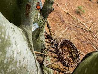 Zauberweg High-Res 7262