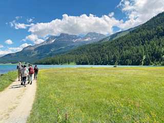 IMG 0662