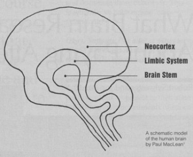 el199212 sylwester brainfig