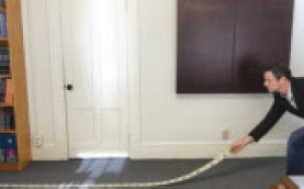 el201710_flynn_fig2.gif