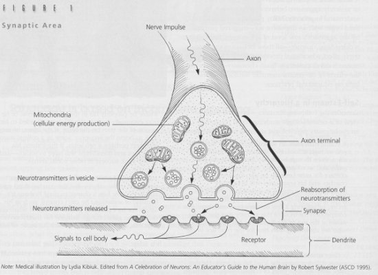 el199702_sylwester_fig1.jpg