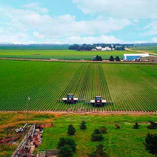 industries-agriculture-farmers-discussing-harvest