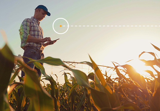 technology connectivity agriculture cornfield irrigation