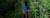 homepage-lifes-work-farmer-cornfield-1600x560.jpg