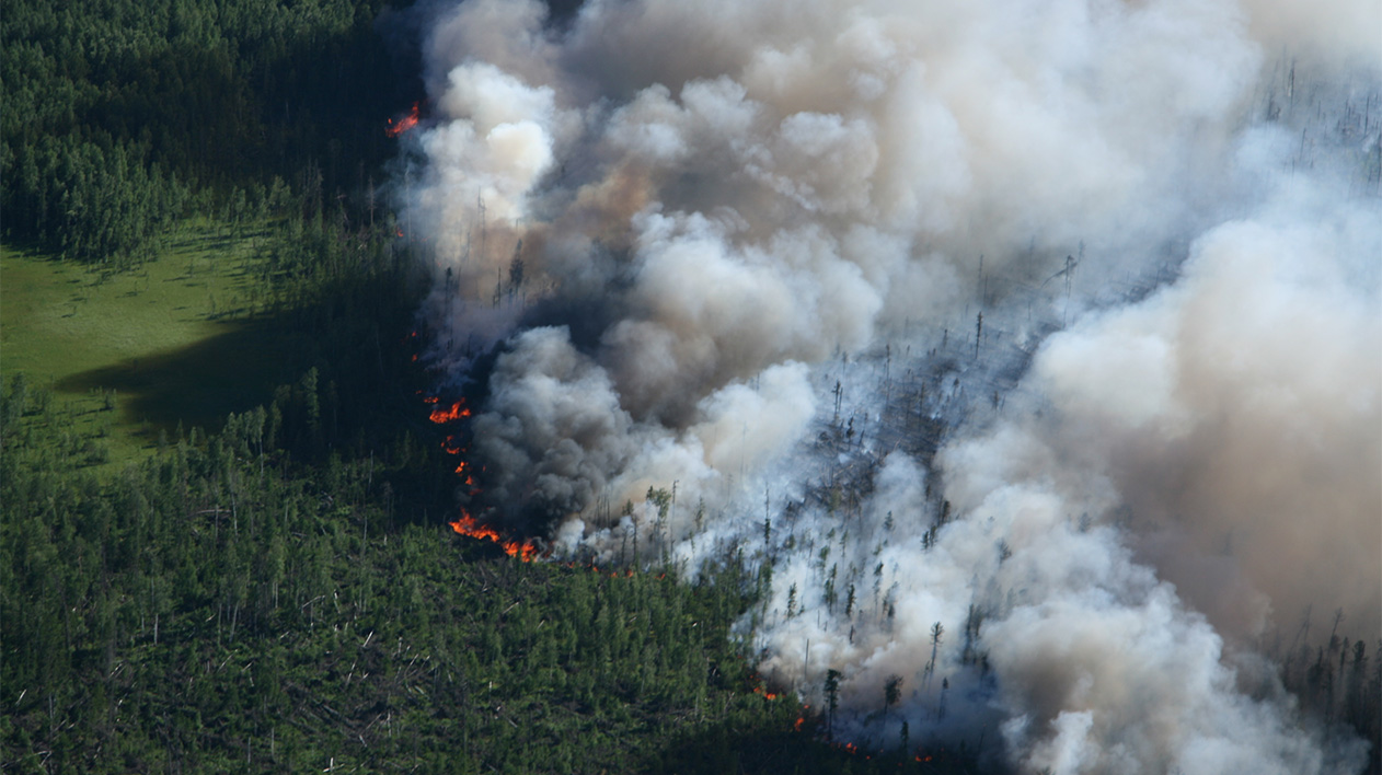 Aerial view of forest fire with smoke