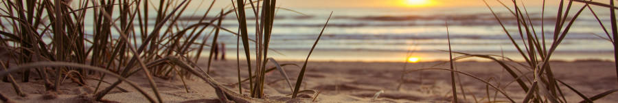Christmas Payroll Guide | Out of Office