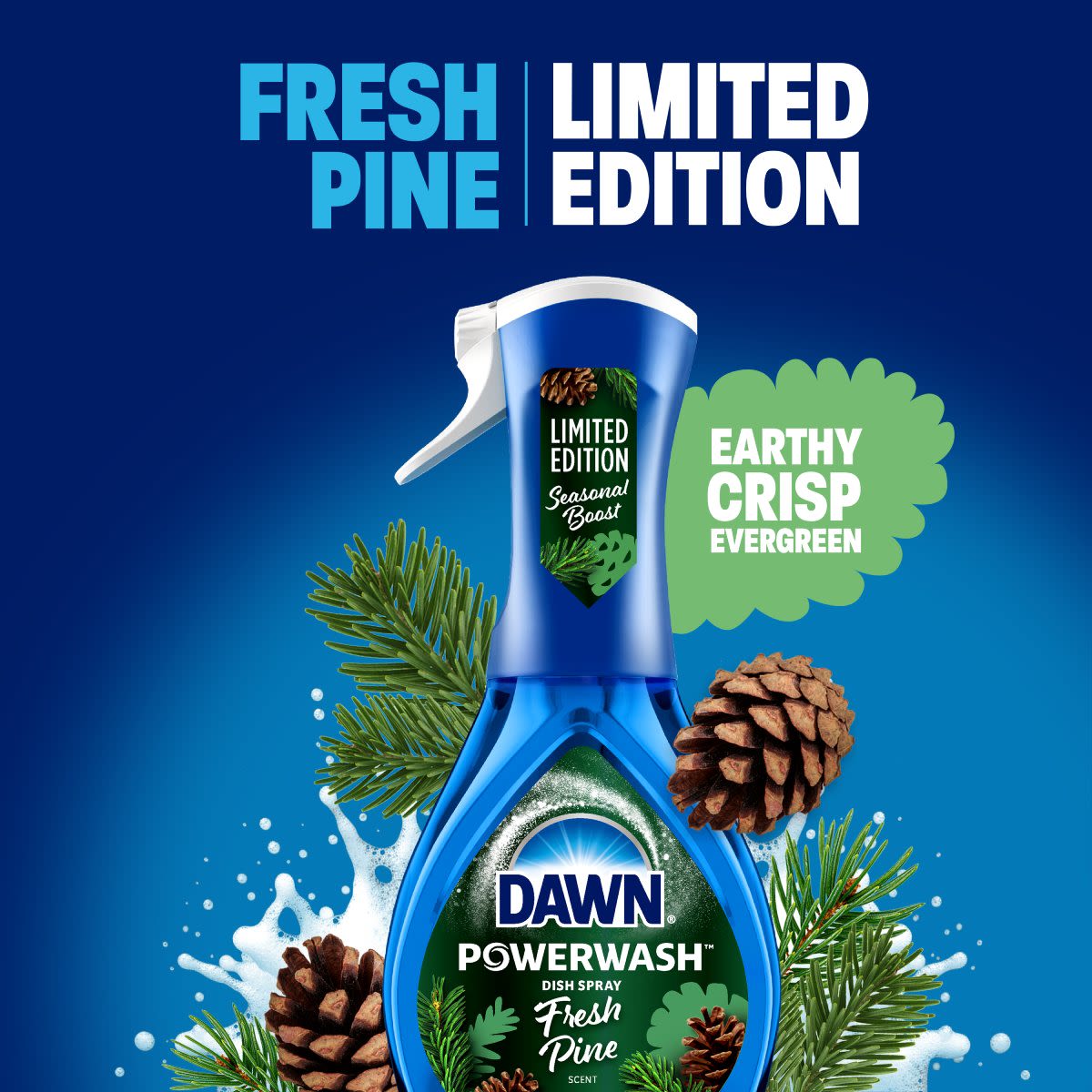 Limited Edition Fresh Pine: Earthy - Crisp - Evergreen