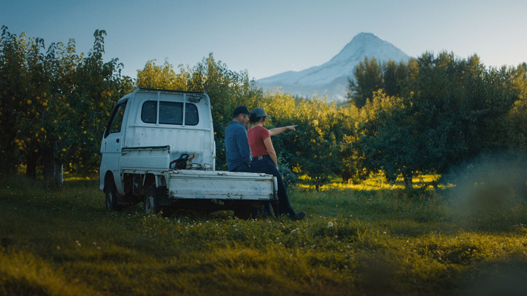 travel oregon apple orchard
