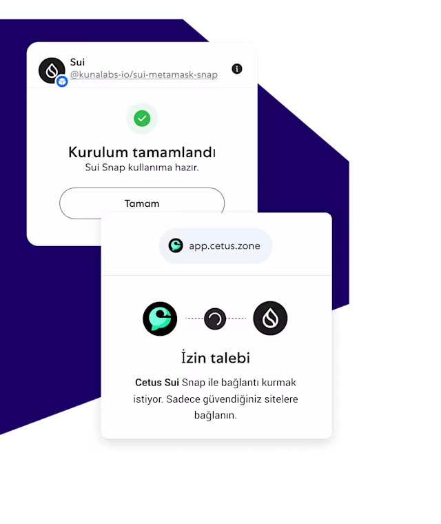 MetaMask'i herhangi bir ağda kullanın