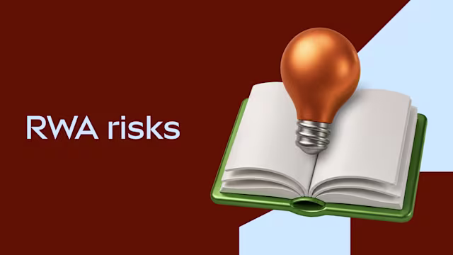 RWA risks and due diligence