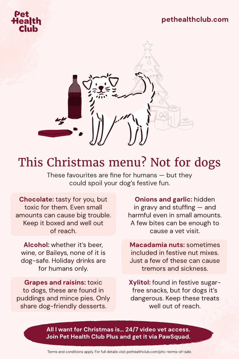 Pet Health Club infographic on Christmas treats to keep away from dogs Infographic listing Christmas treats dog owners should avoid, including grapes and raisins, chocolate, alcohol, and more.