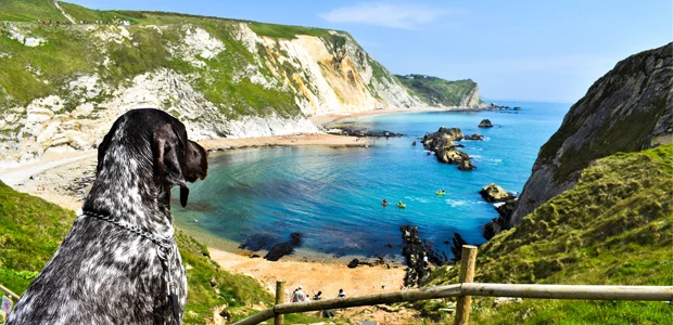 speckled dog overlooking durdle door for article on Dog friendly beaches speckled dog overlooking durdle door for article on Dog friendly beaches