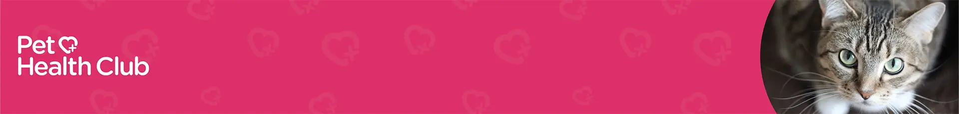 phc-10-off-dental-treatment-banner-1920x230_cat.gif Pet Health Club banner