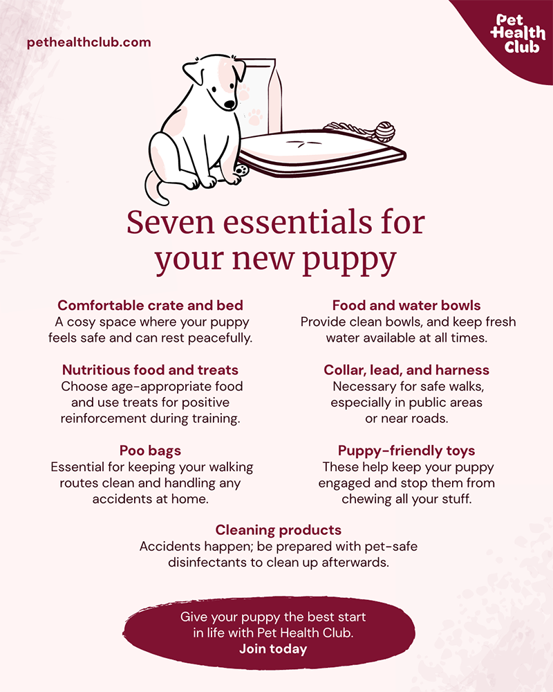 Pet Health Club infographic on puppy essentials A Pet Health Club infographic listing seven puppy essentials for new puppy owners.