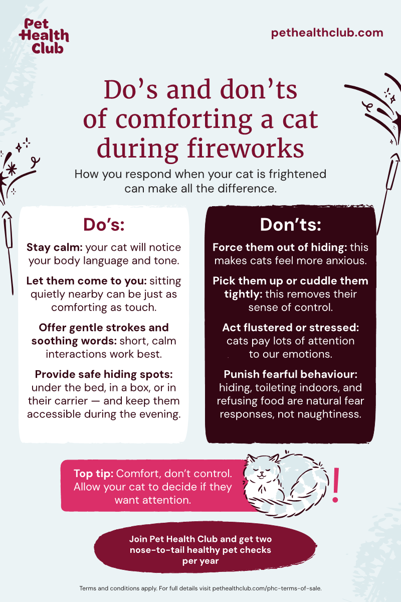 Pet Health Club infographic on comforting cats during fireworks An infographic on how to comfort your cat during fireworks. Cats tend to find fireworks very scary, but following this guide can help.