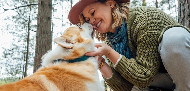 A woman being licked on the face by her dog A photo of a woman whose face is being licked by her dog, which is part of a dog's love language