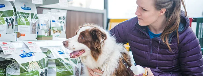 Best diet for dogs - Find the best food for your dog Image of woman looking at pet food for article on best diet for dogs