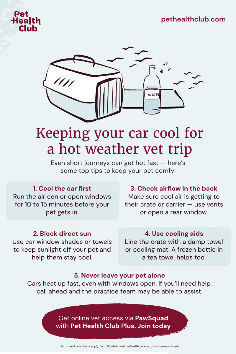 Pet Health Club infographic on keeping your car cool for vet trips in the hot weather Infographic on keeping your car cool for vet trips in the hot weather, covering blocking direct sunlight, cooling aids, and calling ahead.