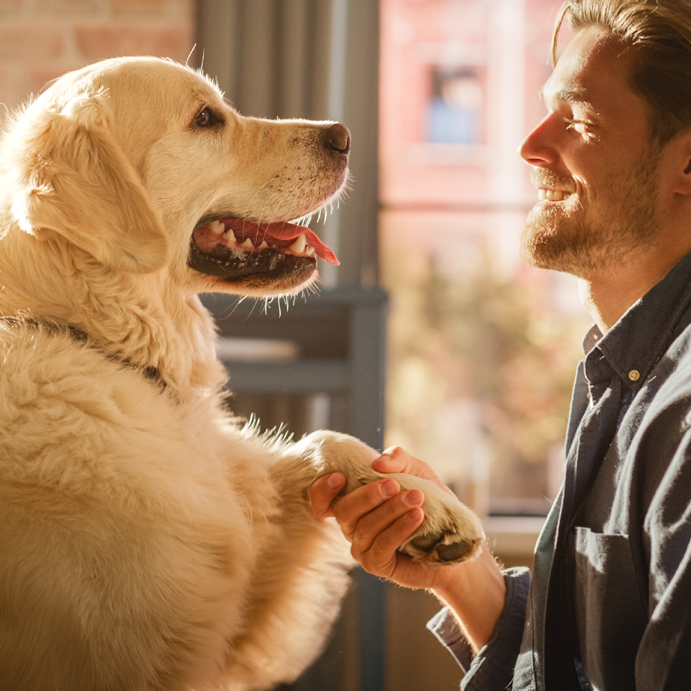 Chien et jeune homme Chien et jeune homme