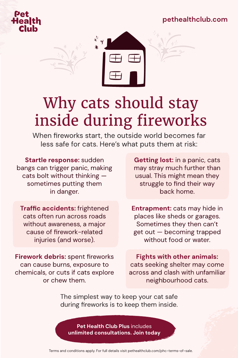 Pet Health Club infographic on why it's best to keep cats indoors during fireworks An infographic with six reasons why you should keep your cat inside during fireworks. Cats are often very scared of fireworks, which can cause them trouble.