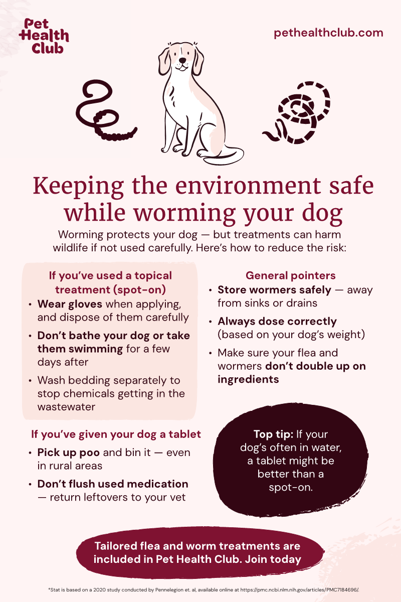 Pet Health Club infographic on keeping your dog worm-free in an eco-friendly way Infographic on how to worm your dog in an environmentally-friendly way, with specific tips for spot-ons and tablets.