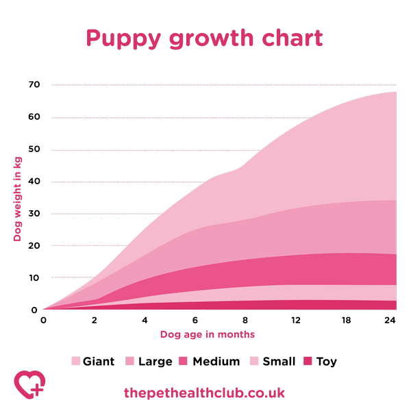puppy growth chart puppy growth chart
