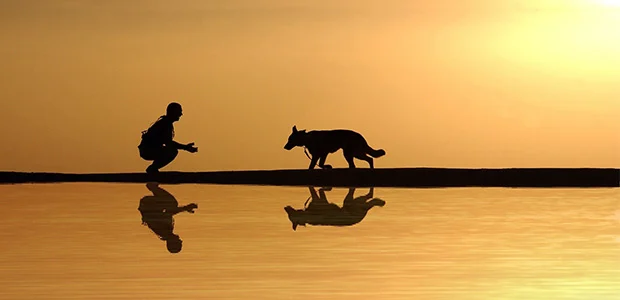 teach-dog-to-come-body-1.jpg silhouette of German Shepard and owner by water with sun behind them