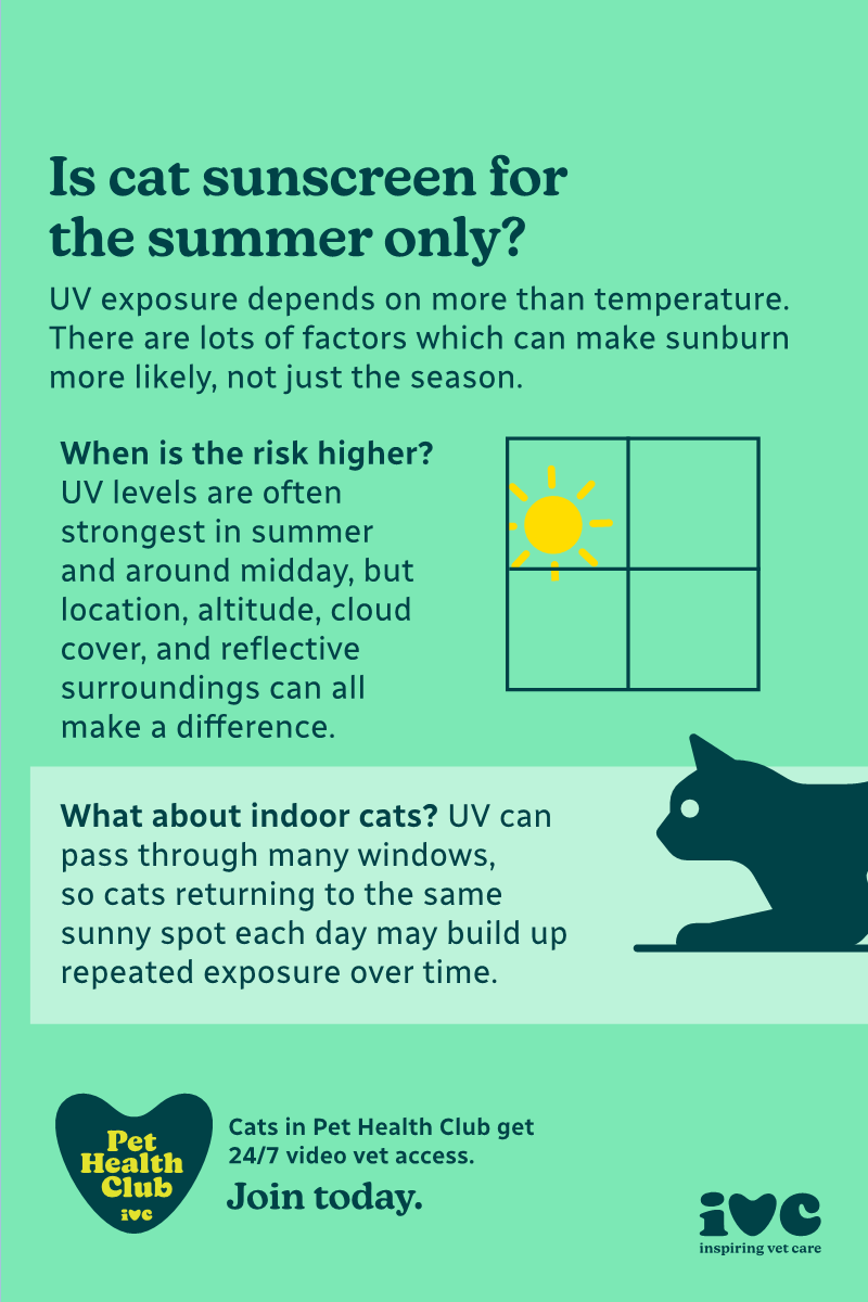 Is cat sunscreen for the summer only? Infographic Sunburn doesn't only happen in the summer. Our infographic explains the other times you might want to consider cat sunscreen.