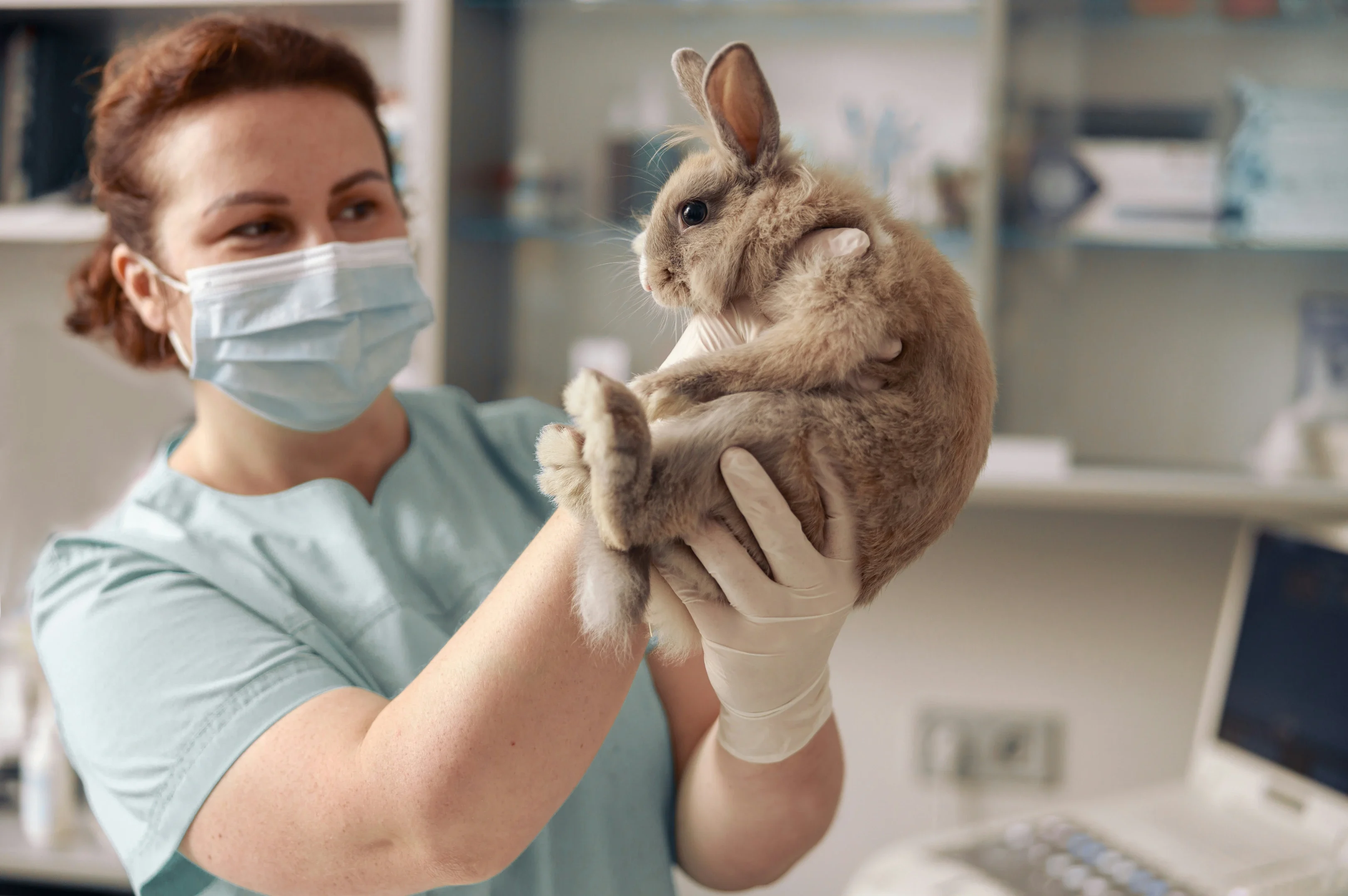 A vet holding a rabbit aloft A vet holding a rabbit aloft