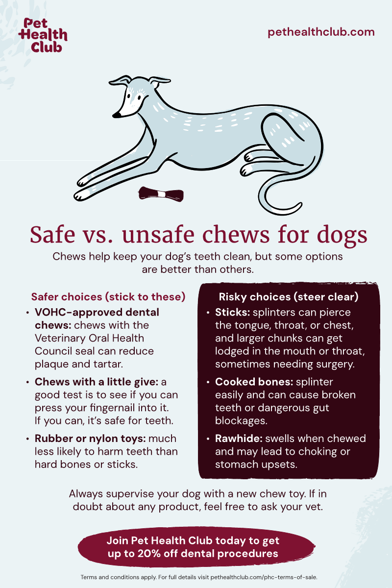 Pet Health Club infographic on choosing a safe chew toy for your dog An infographic on how to choose a safe chew toy for your dog. Dogs need to chew, but some chew options come with risks you might not be aware of.