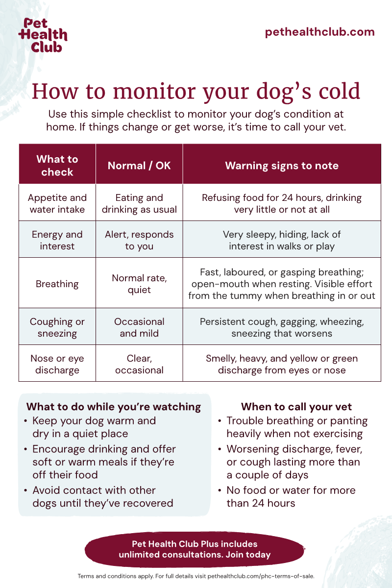 Pet Health Club infgraphic on how to monitor your dog's cold Infographic on how to monitor your dog's cold, explaining common symptoms, what's normal, and what's worrying.